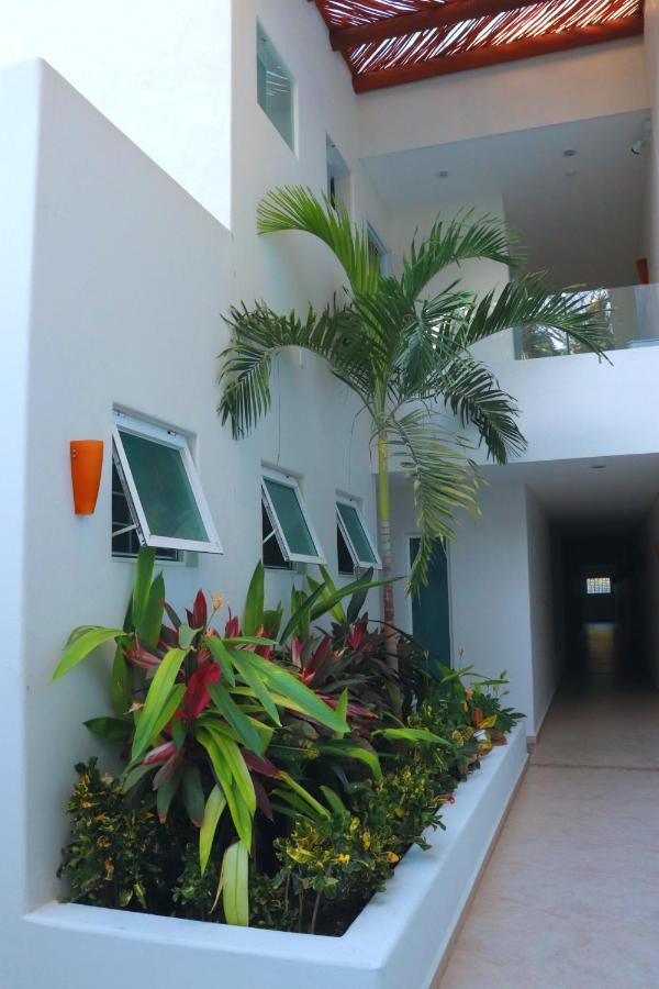 Lydmar Boutique Hotel زيهواتانيجو المظهر الخارجي الصورة